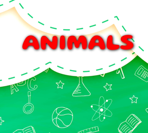 animals