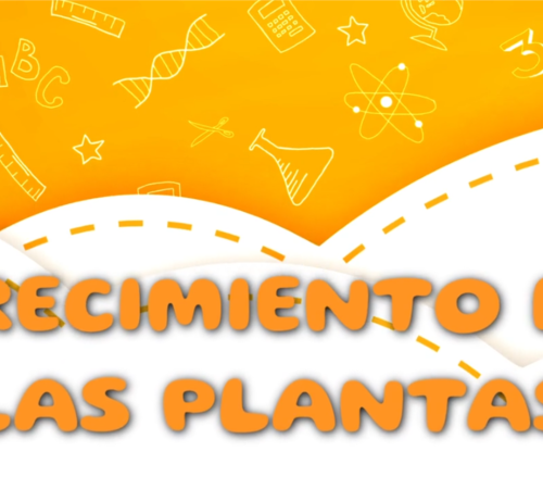 crecimiento-de-las-plantas