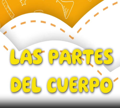 las-partes-del-cuerpo